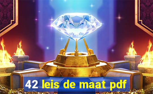 42 leis de maat pdf